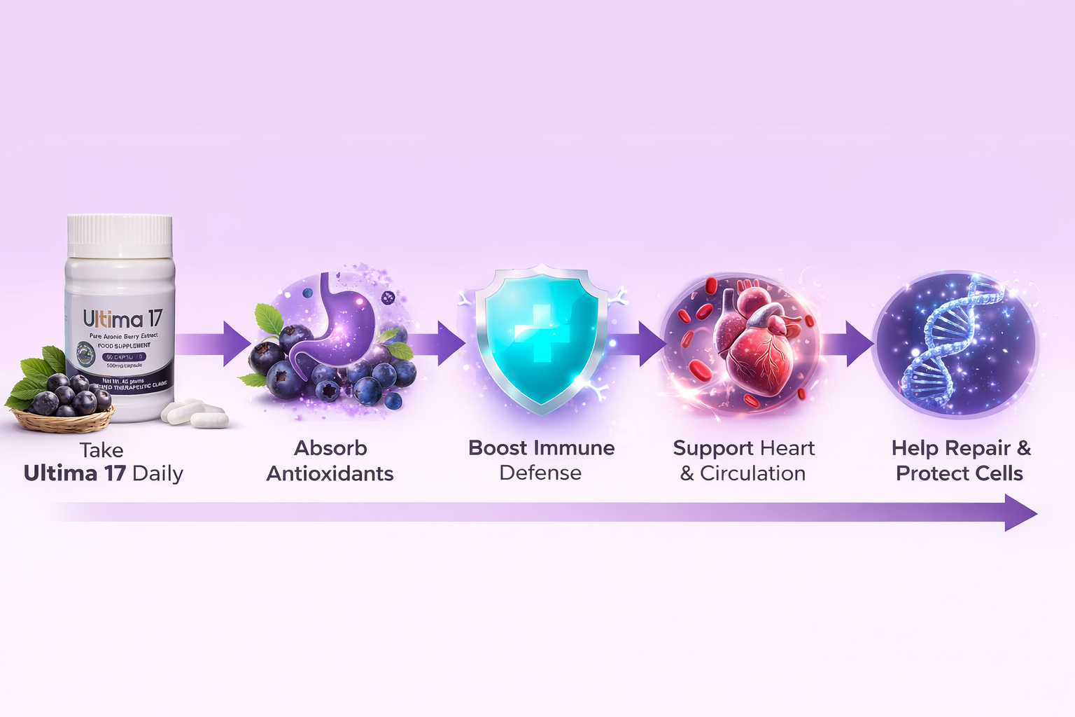 ULTIMA17 product information slide 1